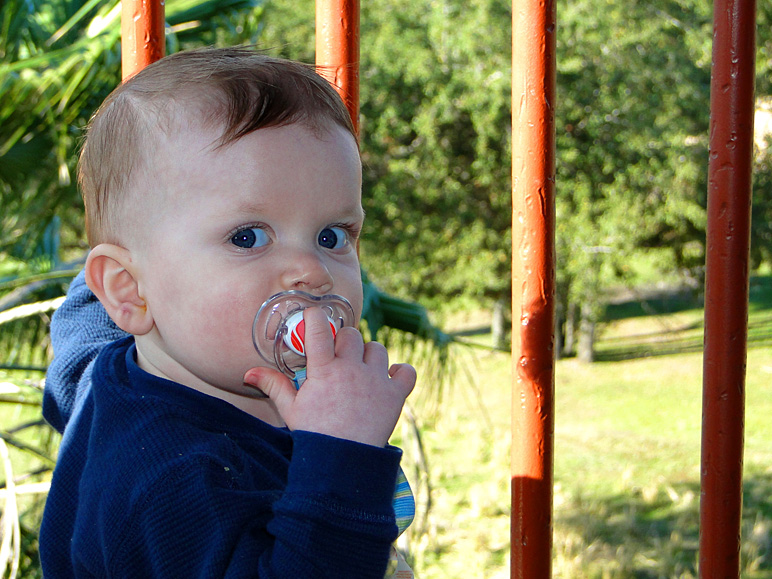 Luke enjoying the balcony (227.73 KB)