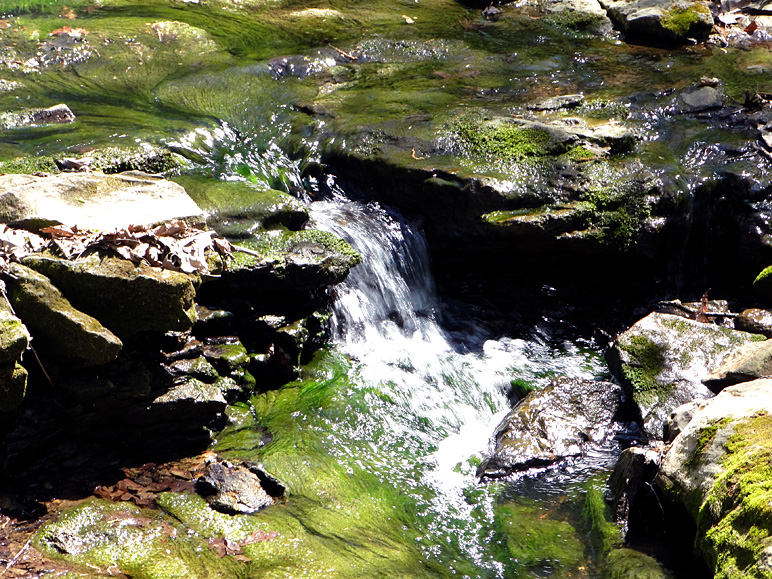 I tried to get more motion blur than this in the water, but it didn't quite work (343.49 KB)