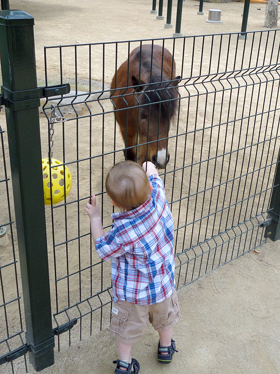 Anna tells me that Luke REALLY liked the petting zoo (290.98 KB)