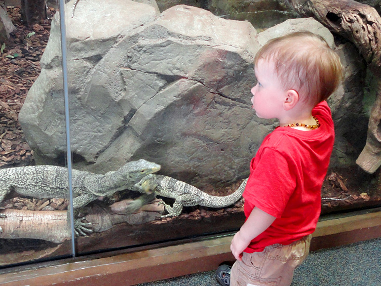 Luke's checking out stuff behind the glass. (245.01 KB)