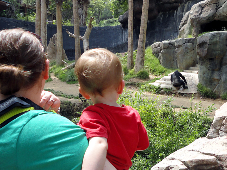 Aunt Ashley and Lucas checking out a gorilla (perhaps) (280.62 KB)