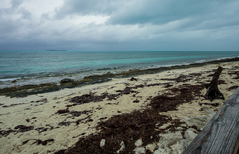 Here's one of the untouched beaches. (250.52 KB)