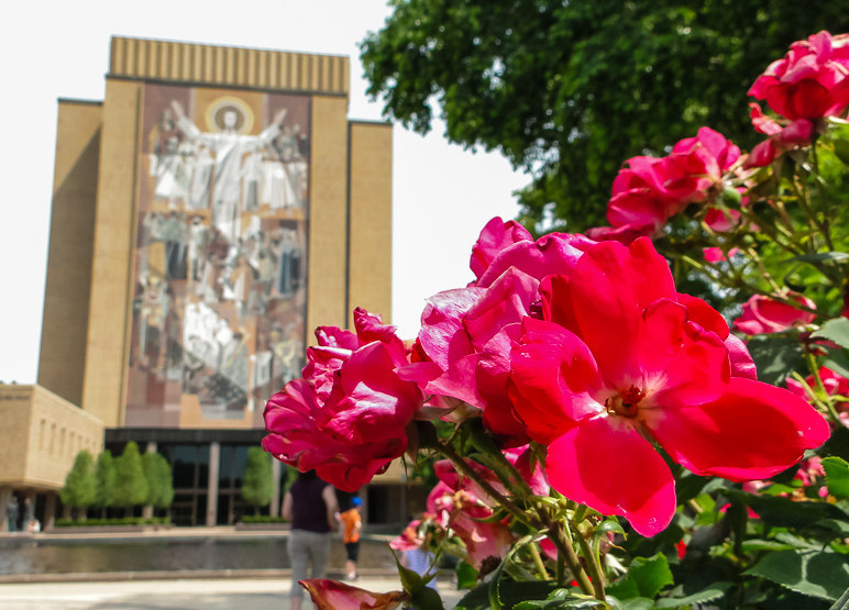 The flowers around campus are nice. (261.57 KB)