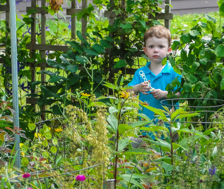 Lucas got into my grandma's garden; he looks as innocent as could be, doesn't he? (459.24 KB)