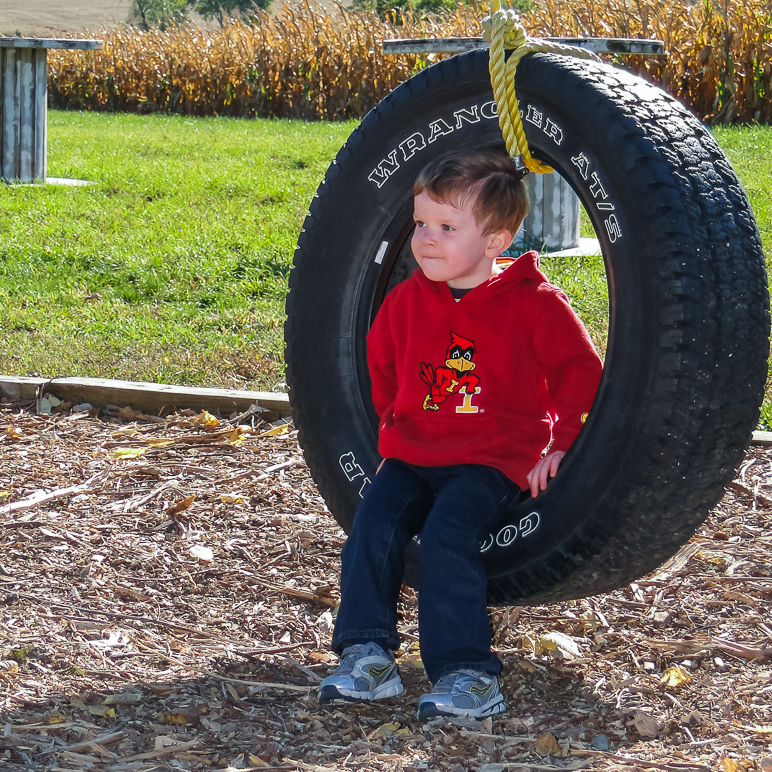 Lucas in a tire swing. (565.86 KB)