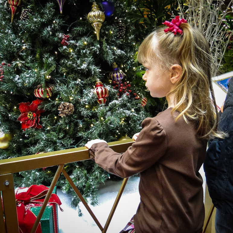 Kate in line to see Santa (476.60 KB)