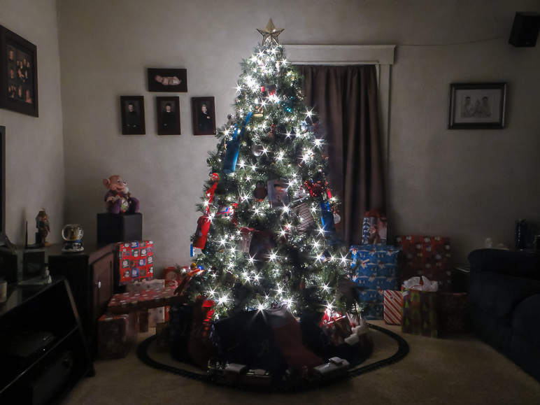 I try to get a picture of our Christmas tree every year. (196.51 KB)