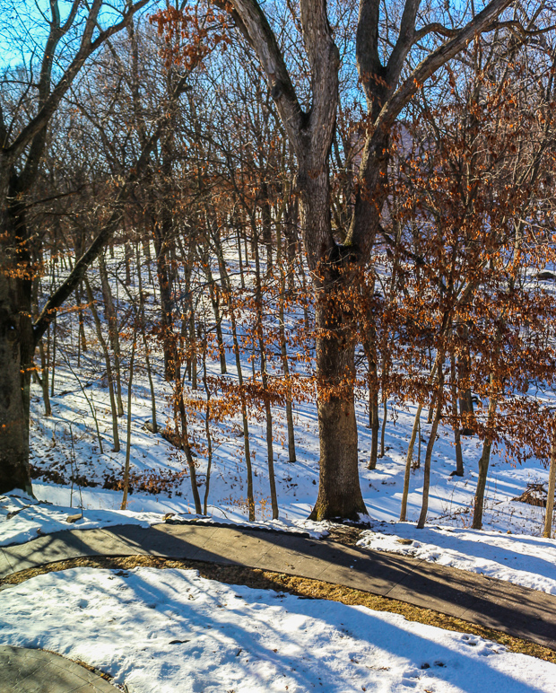 The view behind my in-laws' house continues to provide plenty of photo opportunities. (580.03 KB)